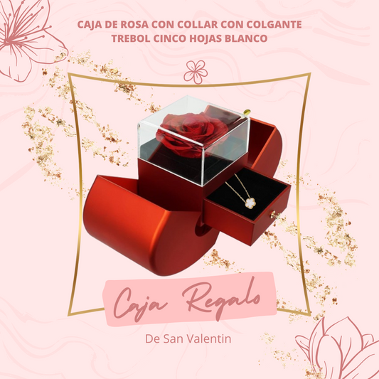 Caja de rosa con Collar con colgante trebol cinco hojas blanco